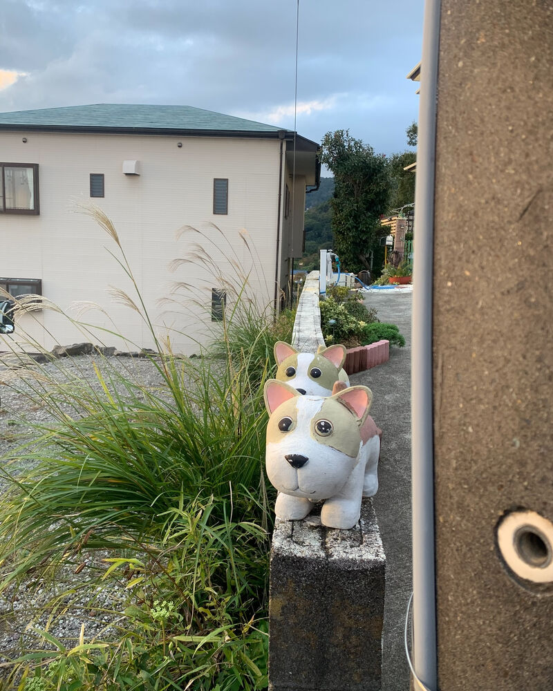 ブログ画像